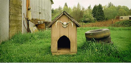 开放世界元宇宙游戏《仙剑世界》4月20日发布概念PV